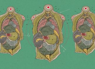 “Spare” living human bodies might provide us with organs for transplantation