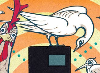 A new biosensor can detect bird flu in five minutes