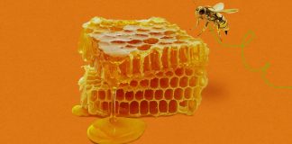 Cyberattacks by AI agents are coming