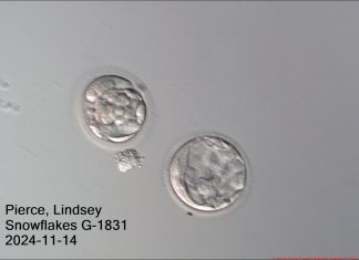 Exclusive: A record-breaking baby has been born from an embryo that’s over 30 years old