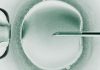 Researchers announce babies born from a trial of three-person IVF