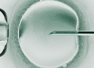 Researchers announce babies born from a trial of three-person IVF