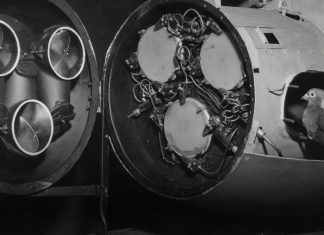 The Download: pigeons’ role in developing AI, and Native artists’ tech interpretations