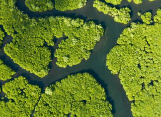 The greenhouse gases we’re not accounting for