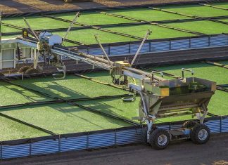 Stand Up for Research, Innovation, and Education