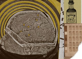 How conspiracy theories infiltrated the doctor’s office