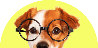 AI Wrapped: The 14 AI terms you couldn’t avoid in 2025