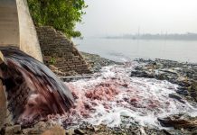 Bangladesh’s garment-making industry is getting greener