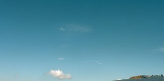 Four bright spots in climate news in 2025