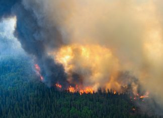 This startup claims it can stop lightning and prevent catastrophic wildfires