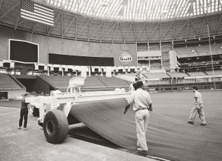 Is fake grass a bad idea? The AstroTurf wars are far from over.