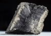 The Download: bad news for inner Neanderthals, and AI warfare’s human illusion