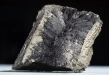 The Download: bad news for inner Neanderthals, and AI warfare’s human illusion