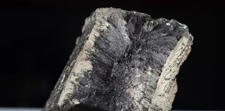 The Download: bad news for inner Neanderthals, and AI warfare’s human illusion