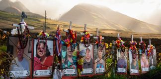 The Download: introducing the Nature issue