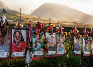 The Download: introducing the Nature issue