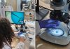 What’s next for IVF