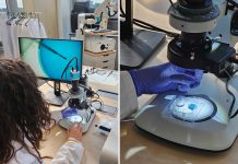 What’s next for IVF