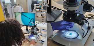 What’s next for IVF