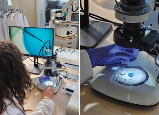 What’s next for IVF