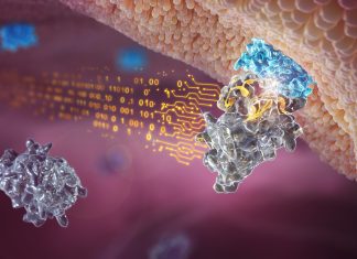 How AI helps scientists design the next generation of medicines