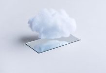 The Download: Flock’s new rules, cloning’s future, and children’s cells