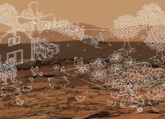 The Download: a bid to scrap the virtual wall and AI hits Climate Week