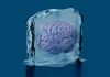 The Download: the Pentagon’s AI-powered lie detector and young organ limits