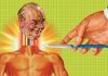 Six wild ideas for perpetuating your mind
