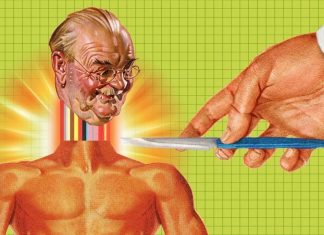Six wild ideas for perpetuating your mind